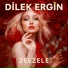 Dilek Ergin