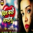 Manoj Madhur