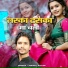 Mrinal Raturi