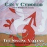Cor Meibion Dyffryn Tywi Male Voice Choir