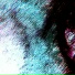 ARXEIV