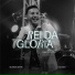 Gustavo Sette, CREATIVE MSC