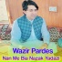 Wazir Pardes