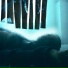 Janea