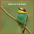 Ambient Sounds from I'm In Records