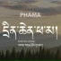 Samten Norbu