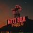 NITI DILA