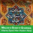 Allama Syed Irfan Haider Abidi