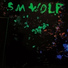 S.M. Wolf