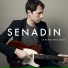 Senadin