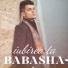 Babasha