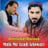Amin Ullah Marwat