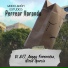 El Avj, Anggy Fernandez