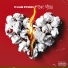 F.O.B Pook