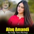 Afaq Amandi