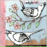 Ladybirds