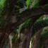 虞展崇