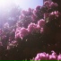 gsky.
