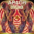 Apach