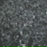 PRIZRAK feat. alig.one