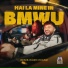 Denis Ramniceanu, Ministerul Manelelor