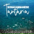 Sonacammanese