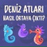 Aytül Şen