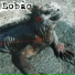 Lobão