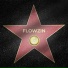 Flowzin