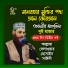Allama Delwar Hossain Saydee