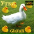 GlaVaR