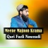 Qari Fazli Nawzadi