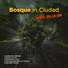 BOSQUE IN CIUDAD - SOUNDS:Y:STEM