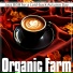 Organic Farm