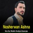 Nosherwan Ashna