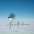 灯叔