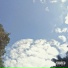 ddobruu