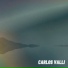 Carlos Valli