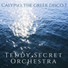 Teddy Secret Orchestra