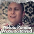 Nelutu Pundia
