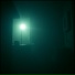 nitroasus