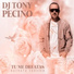 DJ Tony Pecino ft. Pablo Dazan