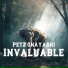 Petz Ohayashi
