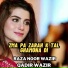 Raza Noor Wazir feat. Qadir Wazir