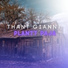 Plantt Paja