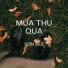 Sơn Bùi
