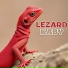 kaby