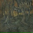 OST Lights in the darkness of the Swamps