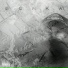 SCAR