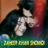 Zaheer Khan Showqi